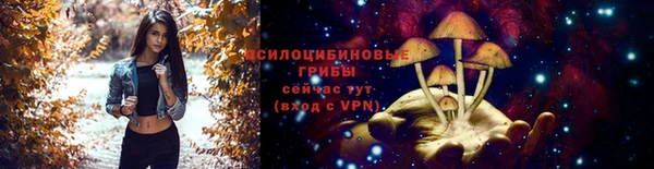 гашиш Няндома