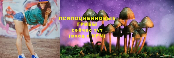 винт Абаза