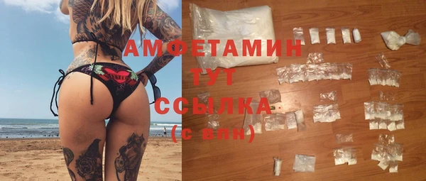 винт Абаза
